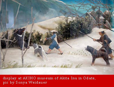 Akita-inu-Du-Temple-de-Ginkaku-ji-Histoire-2