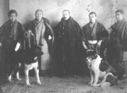 Akita-inu-Du-Temple-de-Ginkaku-ji-Histoire-10 Akita-inu-Du-Temple-de-Ginkaku-ji-Histoire-10